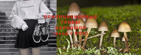 бутират Алексеевка
