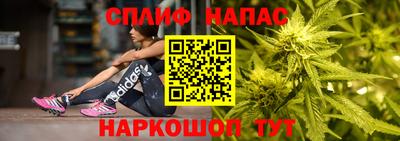 сатива Малгобек