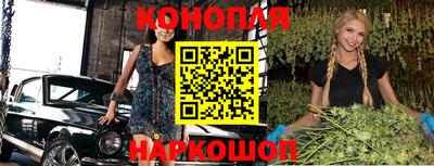 сатива Малгобек