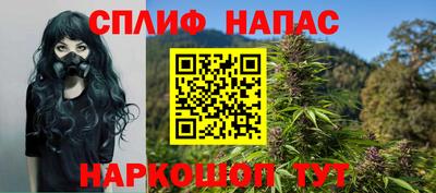 сатива Малгобек