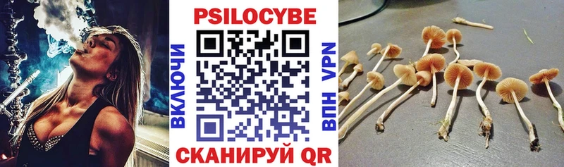 Галлюциногенные грибы Magic Shrooms  darknet клад  МЕГА рабочий сайт  Воткинск  наркошоп 