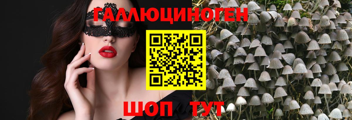 хочу   Галлюциногенные грибы Psilocybine cubensis  Вход с VPN  Галлюциногенные грибы ЛСД  Воткинск 