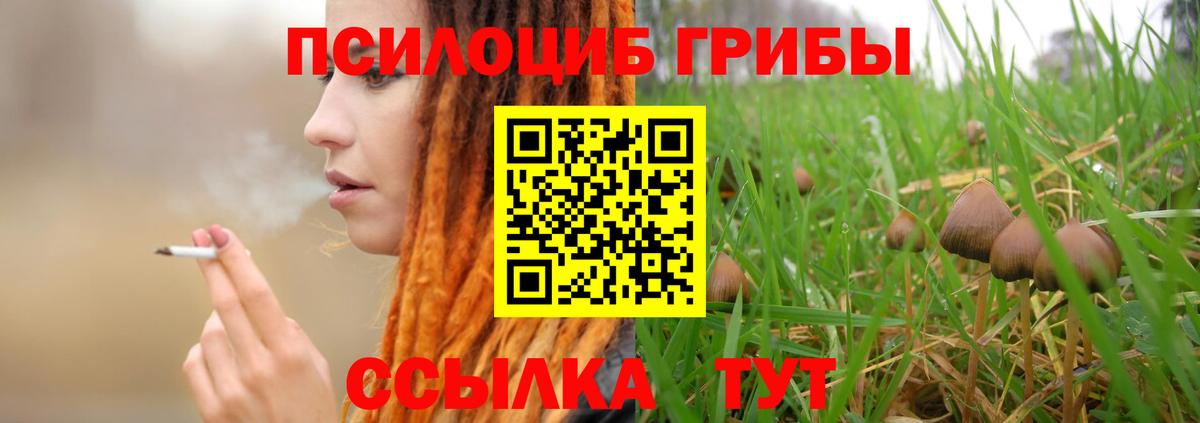 Псилоцибиновые грибы мицелий Воткинск